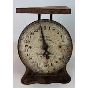 Vintage American Family Scale 25LB Green Farmhouse Decor Rusty Shabby Chic Metal